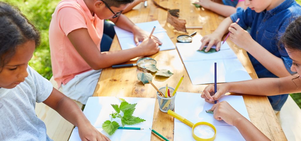How to Find Educational Summer Camps